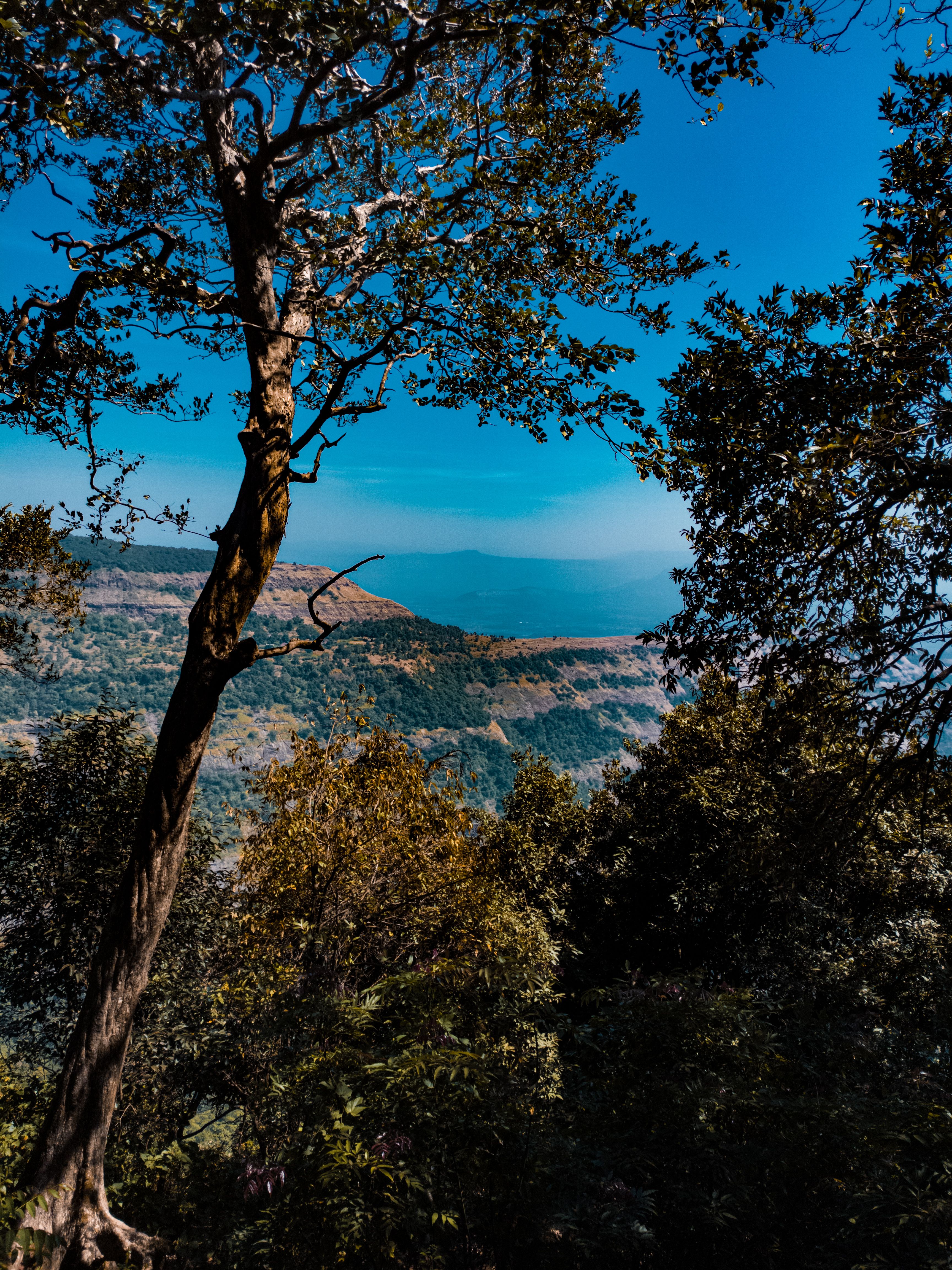 Trip image