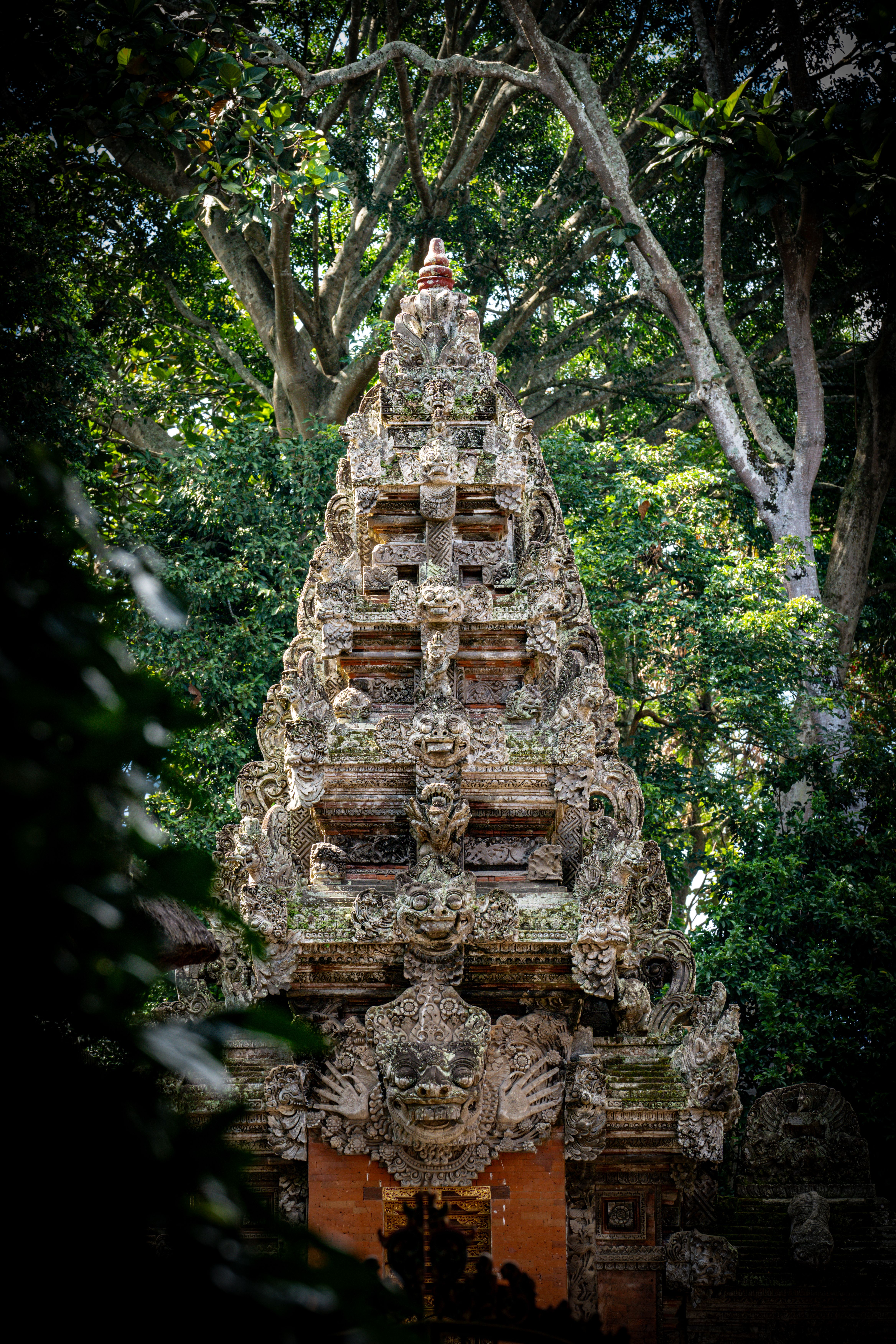 Trip image