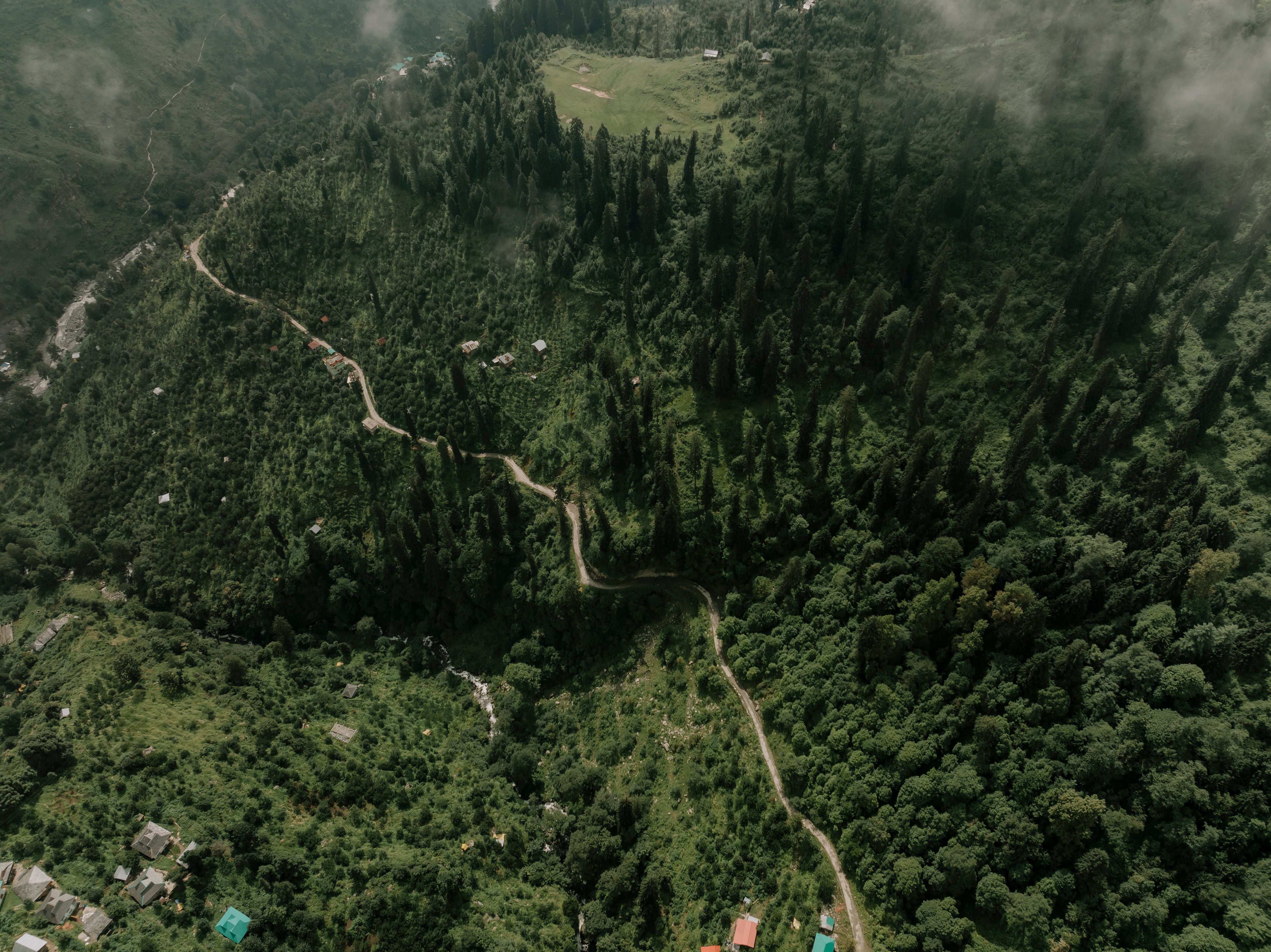 Trip image