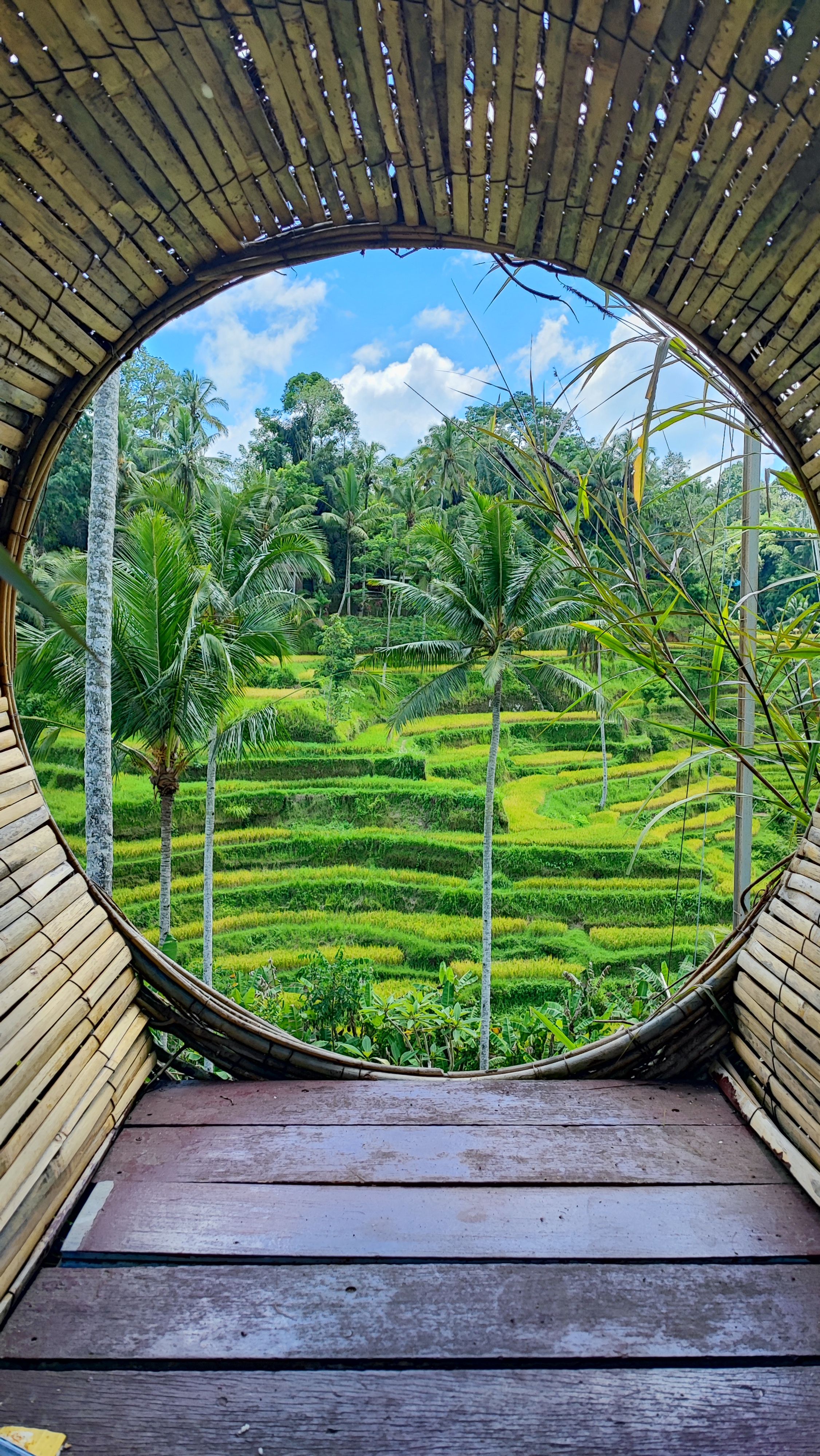 Trip image